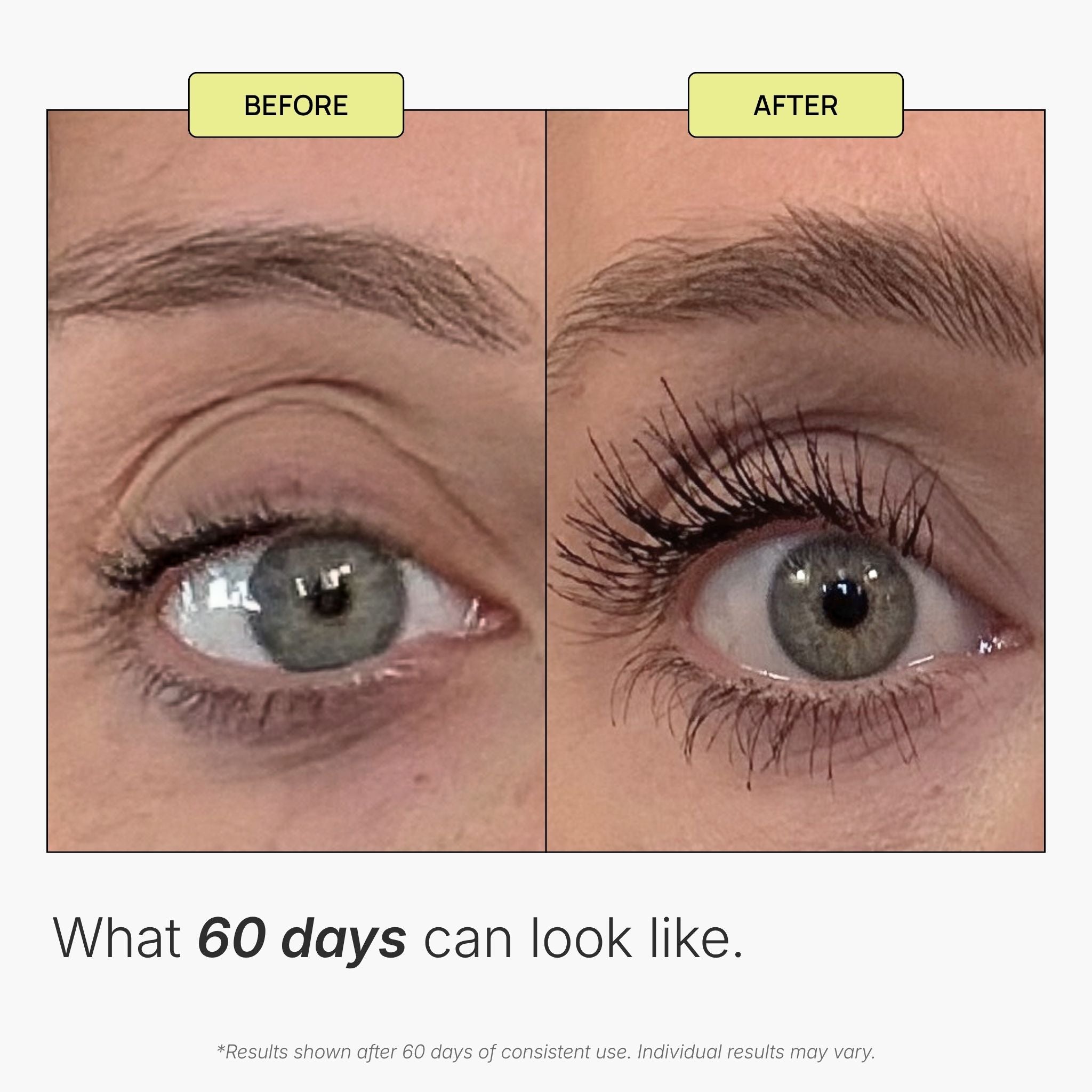 Lash + Brow Duo