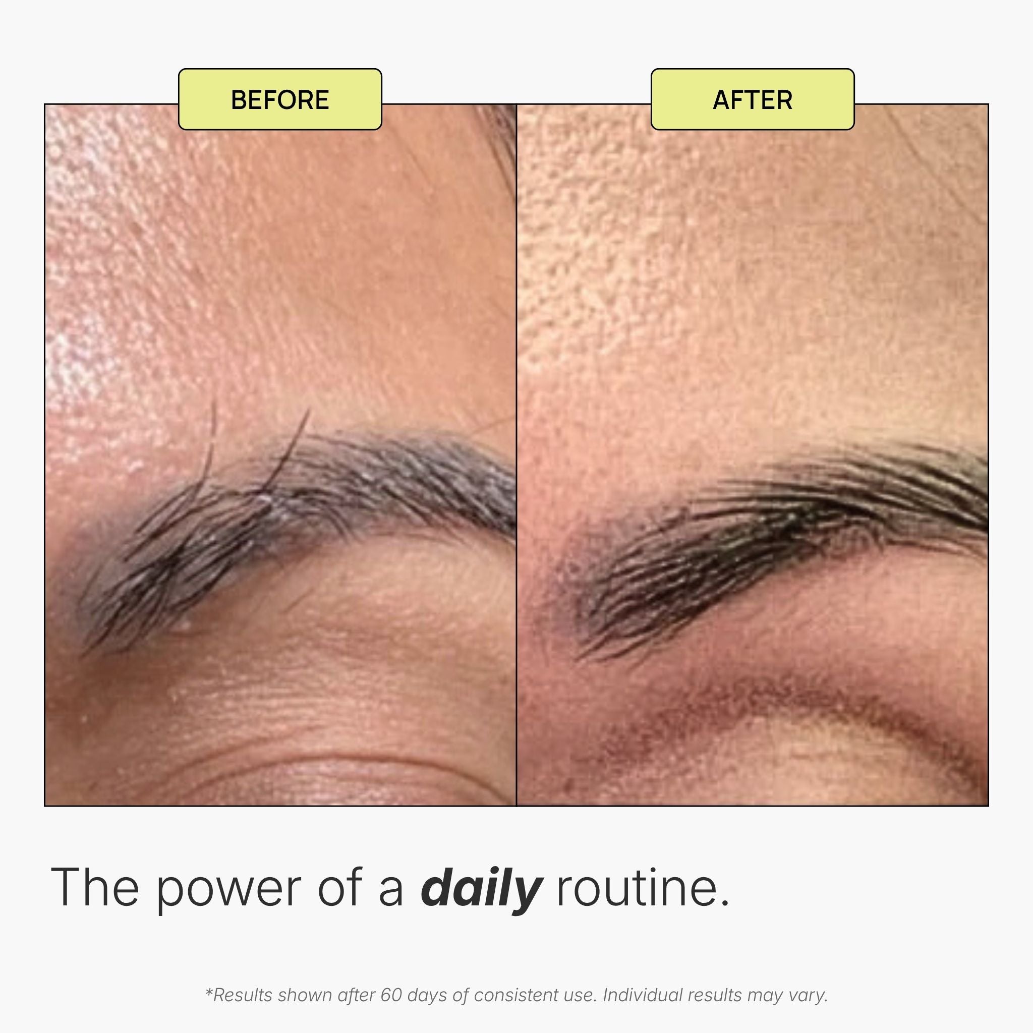 Lash + Brow Duo